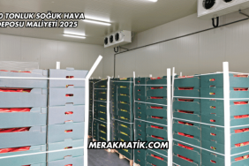 500 Tonluk Soğuk Hava Deposu Maliyeti 2025