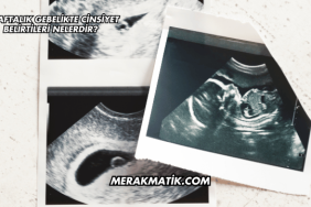 6 Haftalık Gebelikte Cinsiyet Belirtileri Nelerdir?