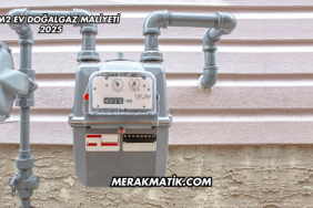 60 m2 Ev Doğalgaz Maliyeti 2025