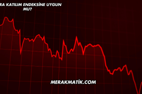 Adra Katılım Endeksine Uygun mu?