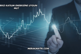 Alarko Katılım Endeksine Uygun mu?