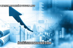 Alfas Katılım Endeksine Uygun mu?