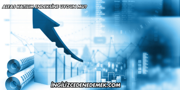 Alfas Katılım Endeksine Uygun mu?