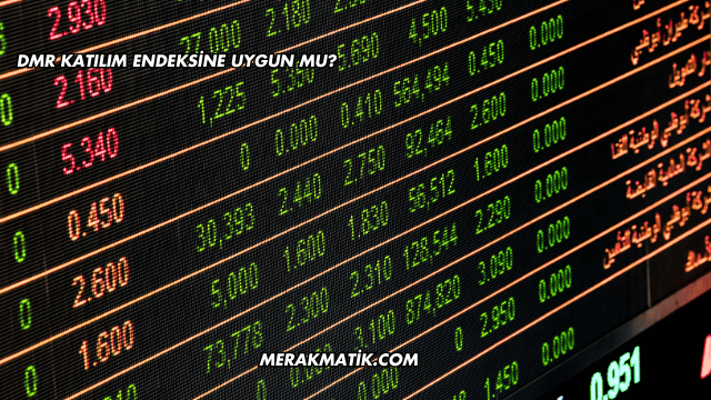 DMR Katılım Endeksine Uygun mu?