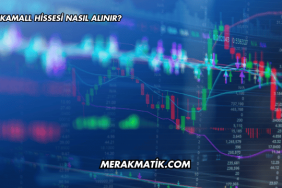 Ankamall Hissesi Nasıl Alınır?