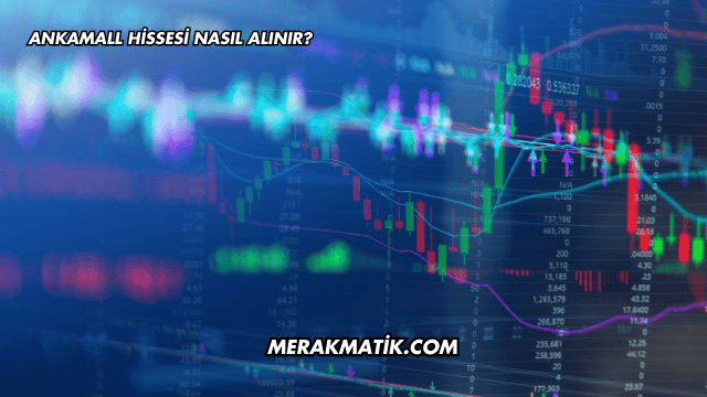 Ankamall Hissesi Nasıl Alınır?