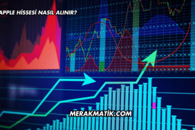 Apple Hissesi Nasıl Alınır?