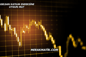 Aselsan Katılım Endeksine Uygun mu?