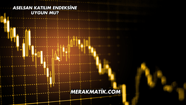 Aselsan Katılım Endeksine Uygun mu?