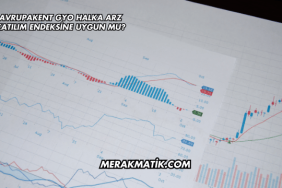 Avrupakent GYO Halka Arz Katılım Endeksine Uygun mu?