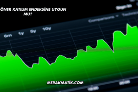 Baydöner Katılım Endeksine Uygun mu?