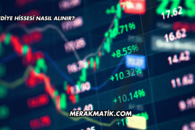 Belediye Hissesi Nasıl Alınır?