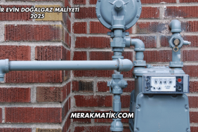 Bir Evin Doğalgaz Maliyeti 2025