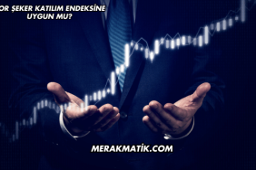 Bor Şeker Katılım Endeksine Uygun mu?