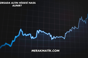 Borsada Altın Hissesi Nasıl Alınır?