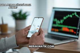 Borsada Petrol Hissesi Nasıl Alınır?