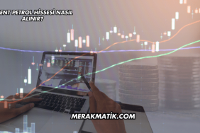 Brent Petrol Hissesi Nasıl Alınır?