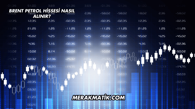 Brent Petrol Hissesi Nasıl Alınır?