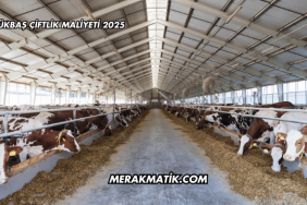 Büyükbaş Çiftlik Maliyeti 2025