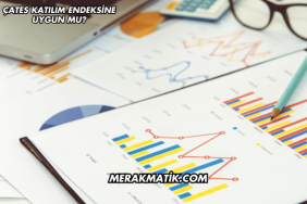 ÇATES Katılım Endeksine Uygun mu?