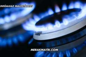 Doğalgaz Maliyeti 2025