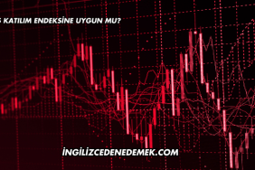 Ekos Katılım Endeksine Uygun mu?