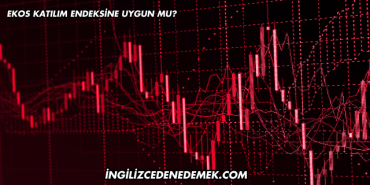 Ekos Katılım Endeksine Uygun mu?
