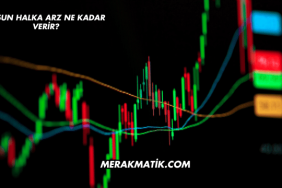 Eksun Halka Arz Ne Kadar Verir?