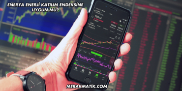 Enerya Enerji Katılım Endeksine Uygun mu?