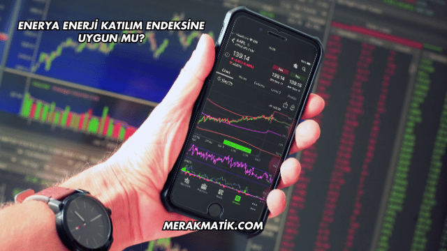 Enerya Enerji Katılım Endeksine Uygun mu?