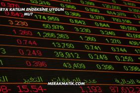 Enerya Katılım Endeksine Uygun mu?