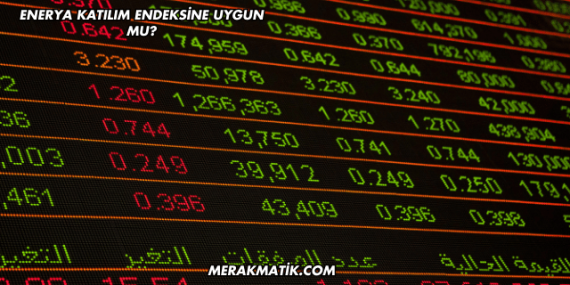 Enerya Katılım Endeksine Uygun mu?