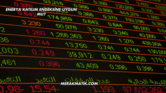 Enerya Katılım Endeksine Uygun mu?