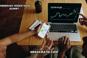 Fenerbahçe Hissesi Nasıl Alınır?