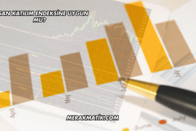 Gıpta Katılım Endeksine Uygun mu?