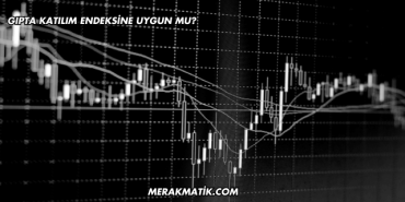 Gıpta Katılım Endeksine Uygun mu?