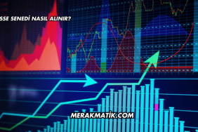 Hisse Senedi Nasıl Alınır?