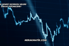 Hisse Senedi Seçerken Nelere Dikkat Edilmelidir?