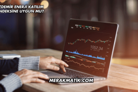 İZDEMİR Enerji Katılım Endeksine Uygun mu?