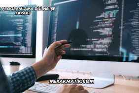 Java Programlama Dili Ne İşe Yarar?