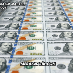 Kağıt Para Basım Maliyeti 2025