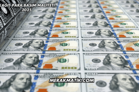 Kağıt Para Basım Maliyeti 2025