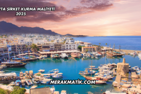 Kıbrıs'ta Şirket Kurma Maliyeti 2025