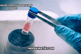 Kök Hücre Tedavisi Gençleşme Nedir?
