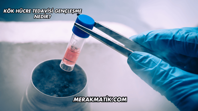 Kök Hücre Tedavisi Gençleşme Nedir?