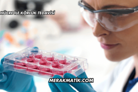 Kök Hücre ile Körlük Tedavisi