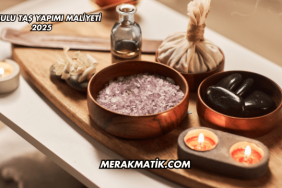 Kokulu Taş Yapımı Maliyeti 2025