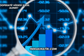 Kooperatif Hissesi Nasıl Alınır?