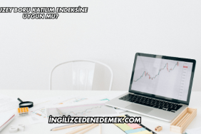 Kuzey Boru Katılım Endeksine Uygun mu?