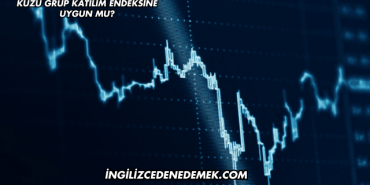 Kuzu Grup Katılım Endeksine Uygun mu?